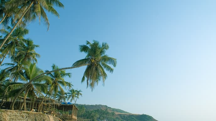 Explore North Goa to your heart's content