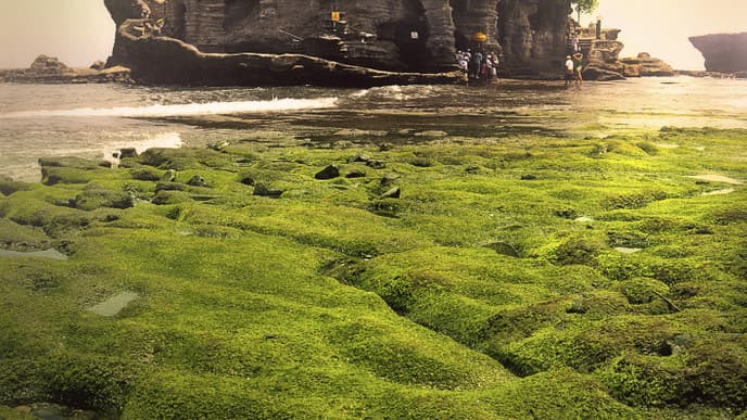 Welcome To Denpasar!