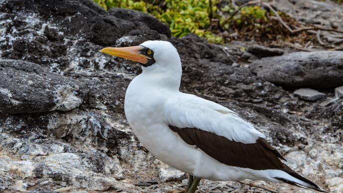 An island-hopping adventure