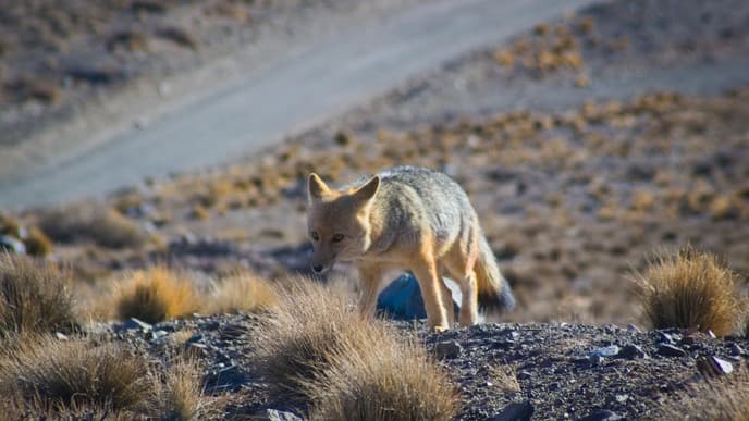 Experience the great outdoors around Mendoza