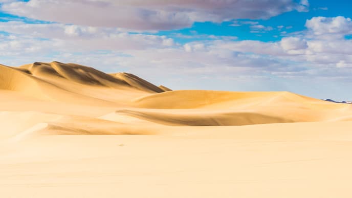 A desert safari to hidden wonders