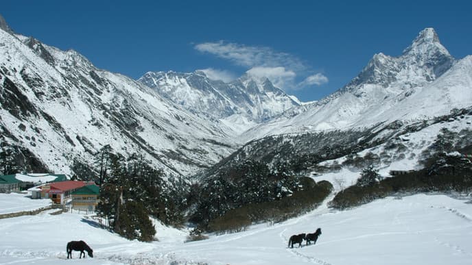 Jangothang to Ligzhi