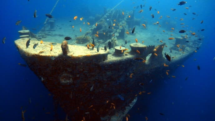 Exploring the Red Sea