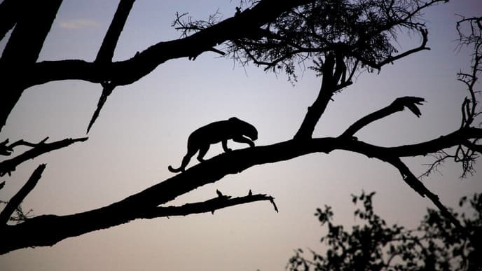 Enjoy Time At The Samburu Game Reserve