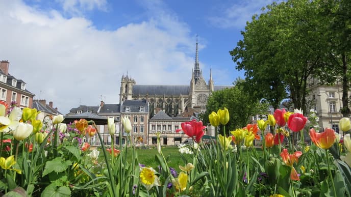 Explore floating gardens & Amiens