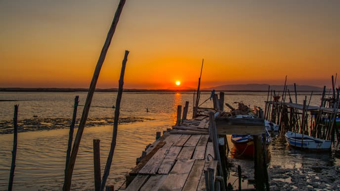 Kayaking, Surfing, Biking & A Picnic