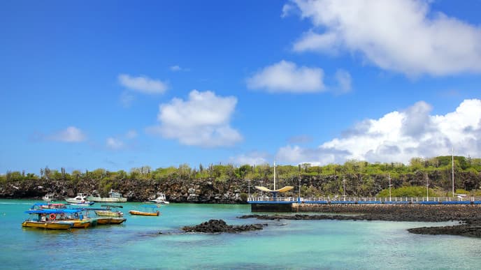 Return to Santa Cruz