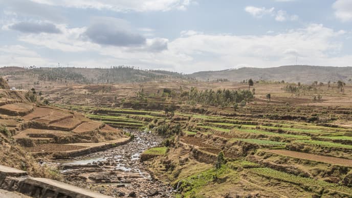 Experience The Farmer Lifestyle