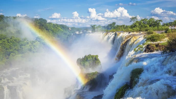 Journey to Iguazu Falls