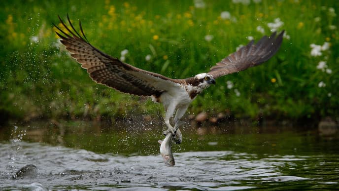 Explore a sprawling wildlife sanctuary