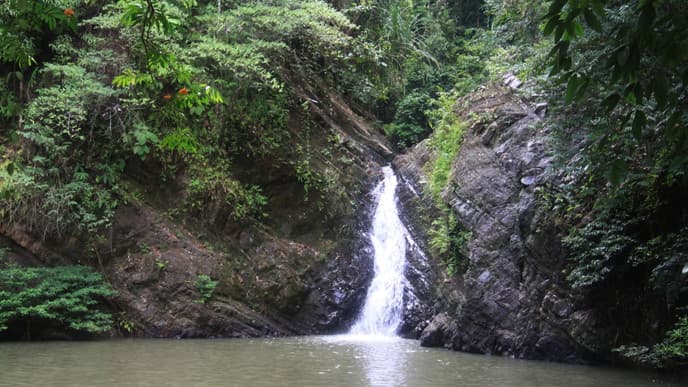 Visit Tabin Rainforest Foot Soak