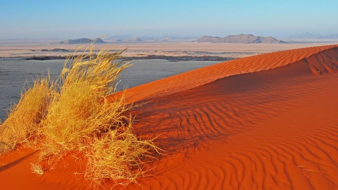 Zwei Wüsten an einem Tag!