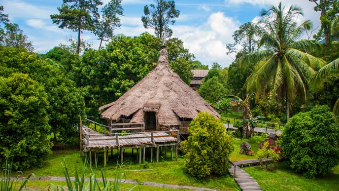 Explore Malaysian Wildlife
