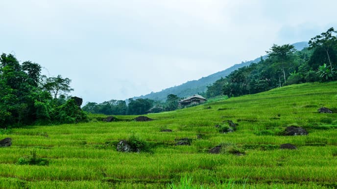 Wanderung durch das Tal