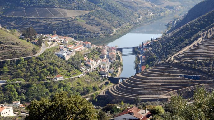 Explore the Duoro wine region