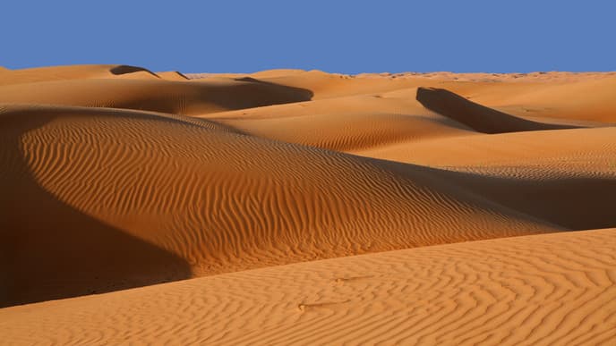 Zu Gast bei den Beduinen in der Wüste