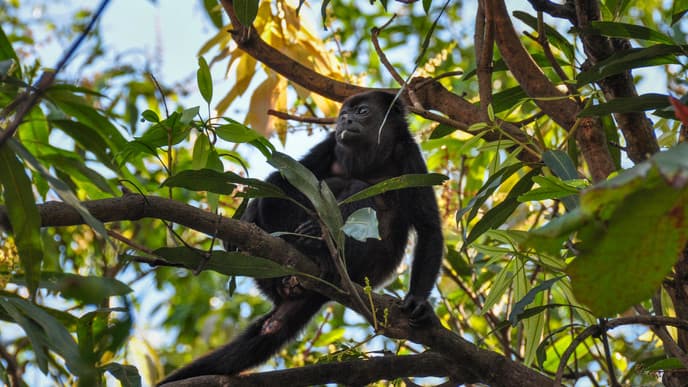 Strandparadies für Schnorchler und Taucher