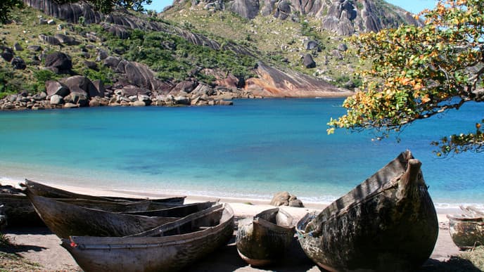 Marvel At The Lemurs In Zenavo