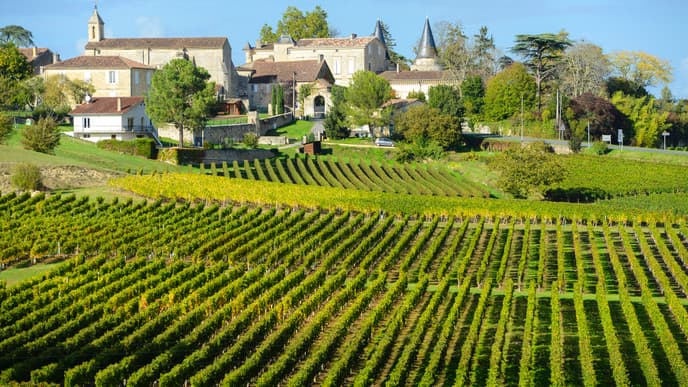 Taste your way through wine country