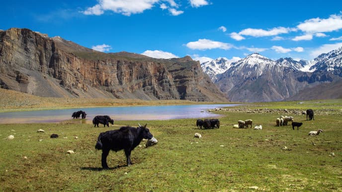 Captivating mountain scenery