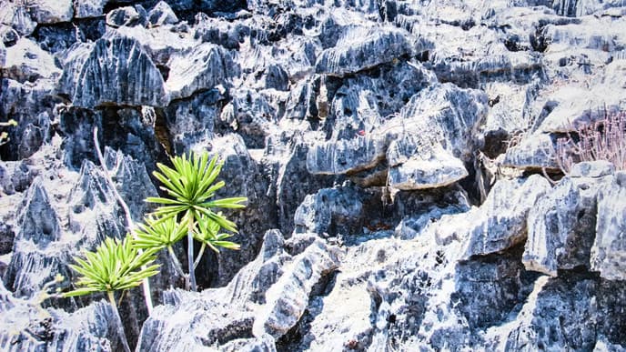 Graue Karstlandschaften wie auf dem Mond
