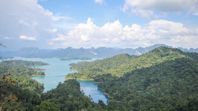 Jungle Trek in Khao Sok