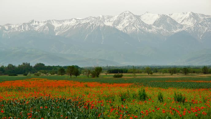 Enjoy the Nature of the Chong Kemin Valley