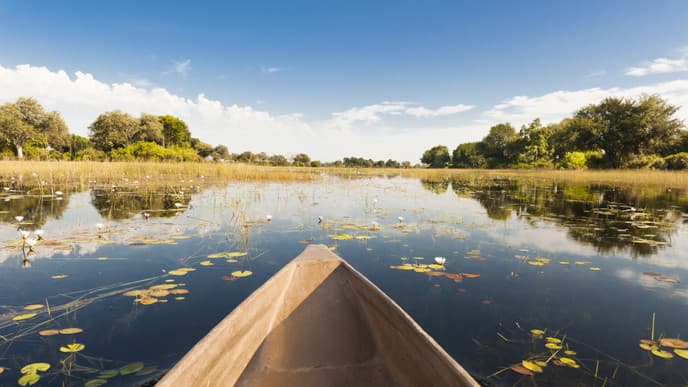 Journey to the Delta