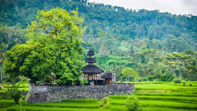Die Geschichte des Sarongs und andere Traditionen