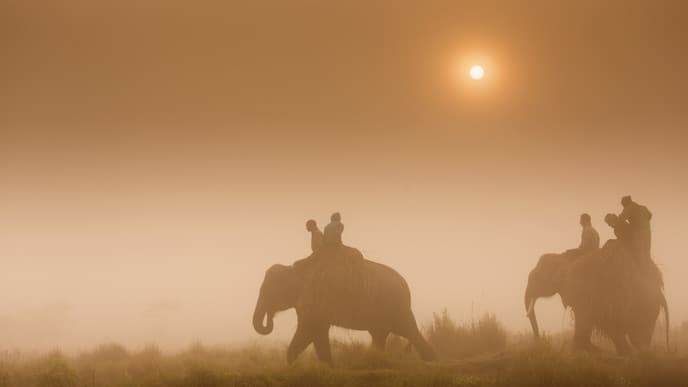 Chitwan Wildlife Adventure