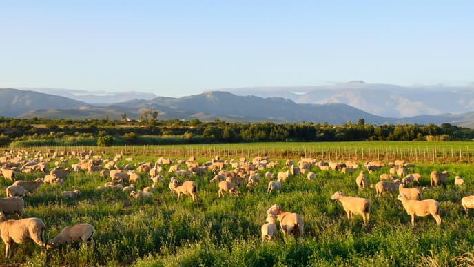 Charming countryside