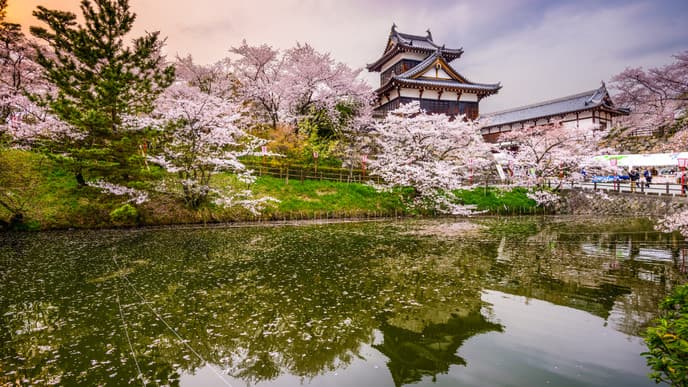 Bummeln durch Nara und Reise nach Osaka