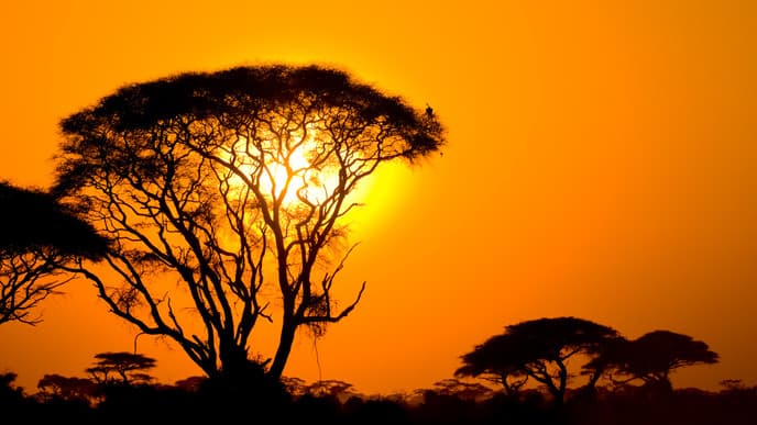 Drive Through the Stunning Masai Mara