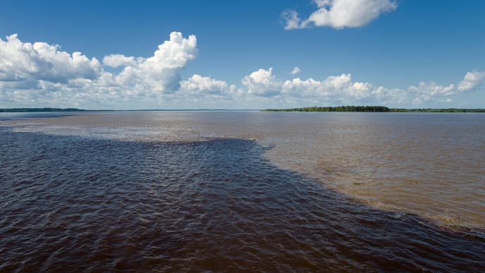 Traditionelle Tanzzeremonie