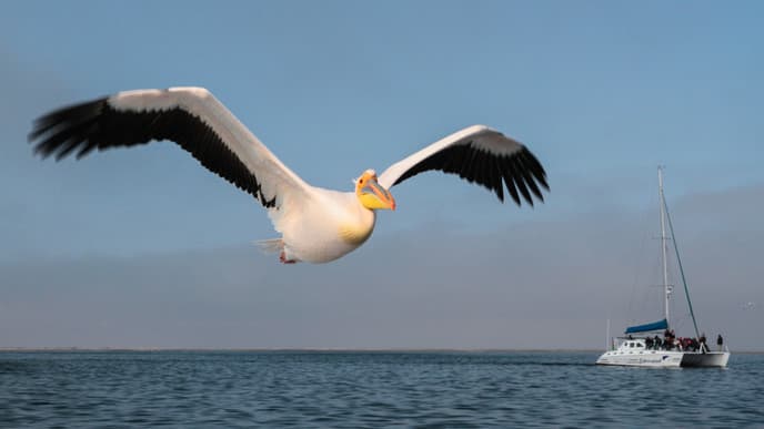 Auf zum Atlantischen Ozean