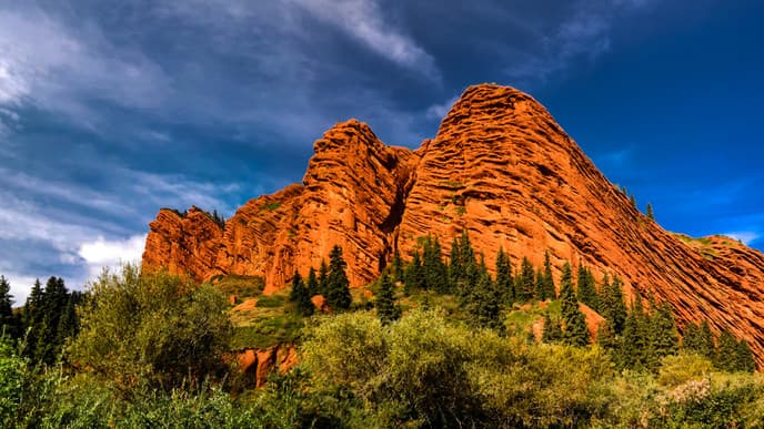 Venture to a Verdant Valley