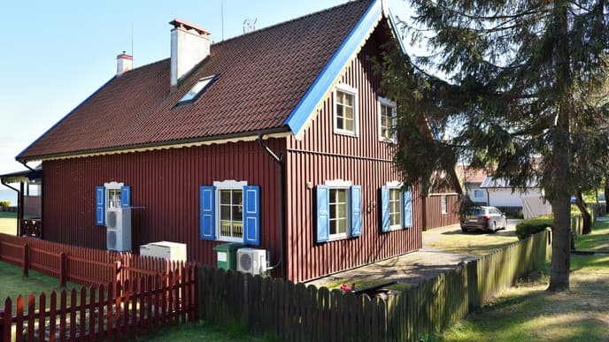 Explore pine forests by bike