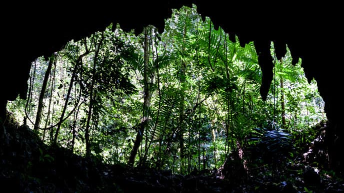 Explore The Depths Of The Candelaria Caves