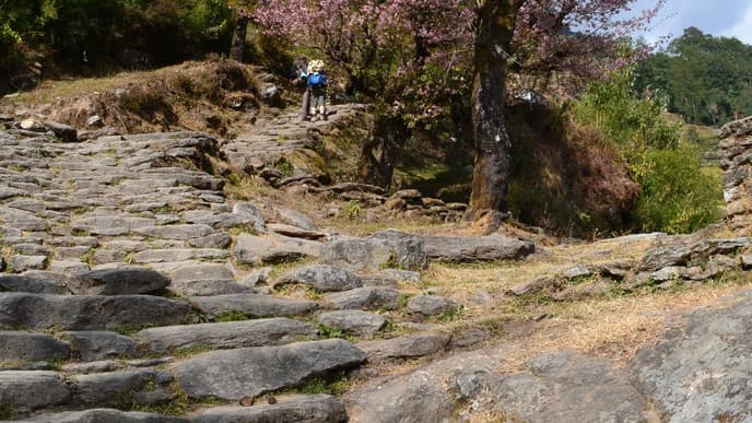 Aufstieg durch Wälder und Reisfelder