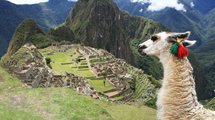 Ein Tag am Machu Picchu