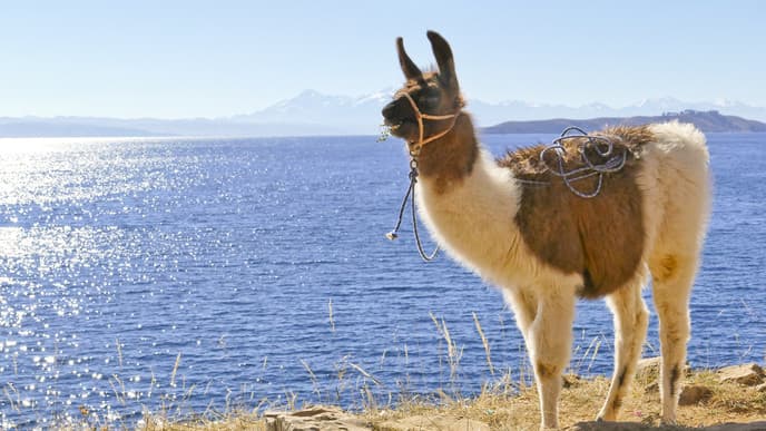 Journey to Lake Tuni