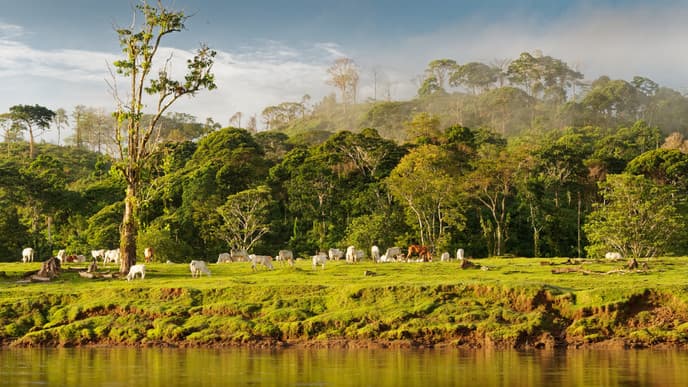Natural immersion near the Nicaraguan border