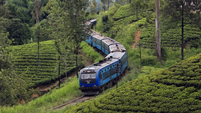 Take a scenic train to Nuwara Eliya