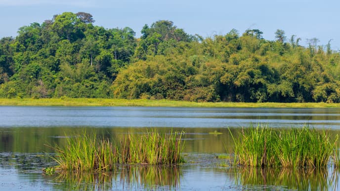 Erkundungen im Feuchtgebiet