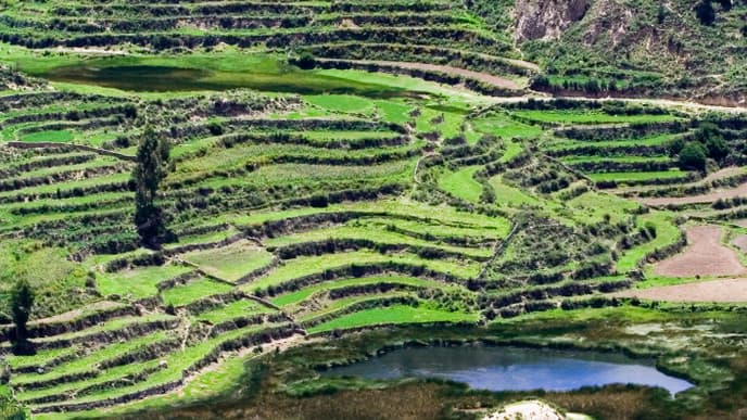 Journey to the Altiplano