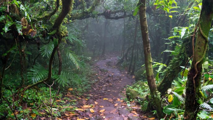 Hiking & Chocolate Workshop