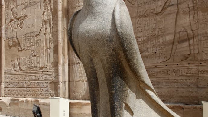 Spotting the falcon at Horus Temple