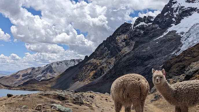 Experience village life