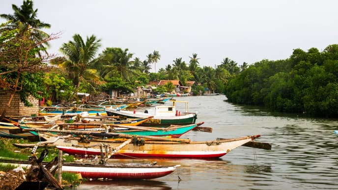 Goodbye, Sri Lanka