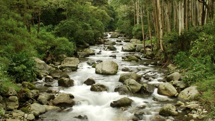 Heading into the highlands